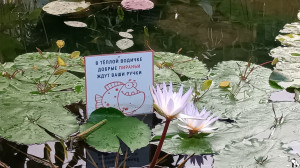 От ныне там небезопасно