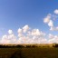 Камаево.