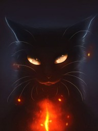 Приручение чёрной кошки