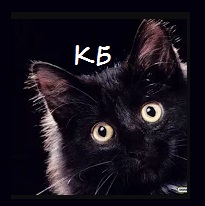 Крис Б