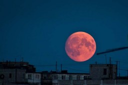 Тонким слоем кетчупа.