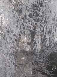 Лютует зима
