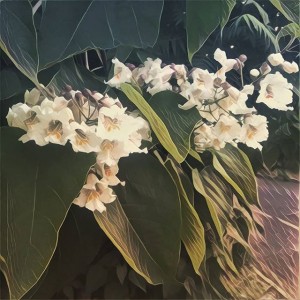 L_J