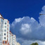 Утонувшие в солнечной зелени...