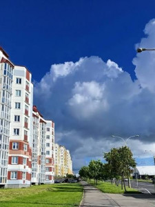 Утонувшие в солнечной зелени...