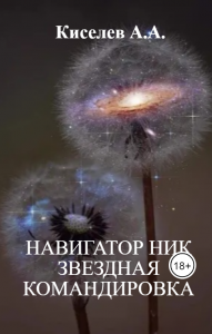 "НАВИГАТОР НИК. ЗВЕЗДНАЯ КОМАНДИРОВКА".(Научно-фантастический триллер)