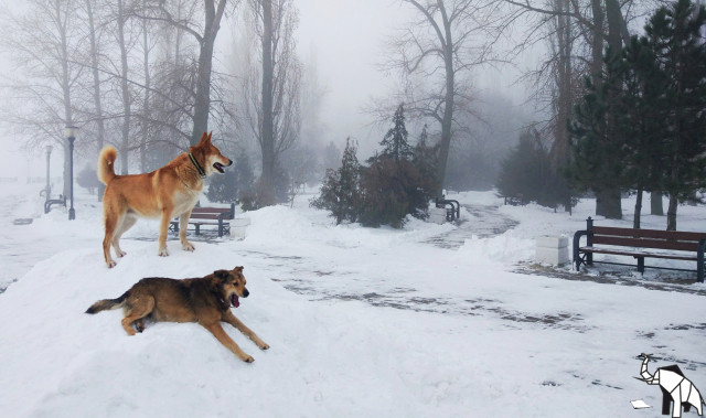 Хороший день Хороший день