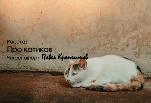 Где ее котик?