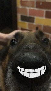 Пёс