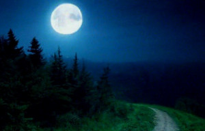 Темнота обняла Темнота обняла