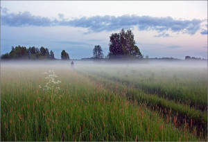Агейка