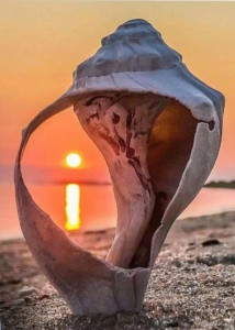 Осторожно