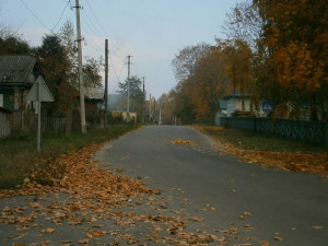 "Пожелтевшие листья – второе дыхание... " "Пожелтевшие листья – второе дыхание... "