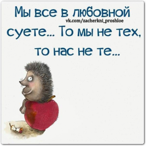 Любовная суета
