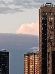 Последнее