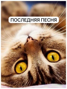 Последняя песня Последняя песня