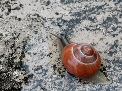 Улыбка на склоне
