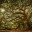 oak