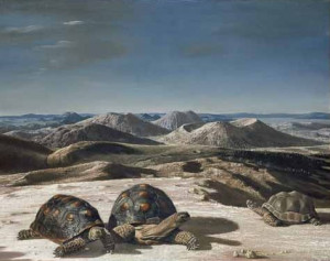 TORTOISE SONG TORTOISE SONG