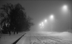 Кровавая добыча