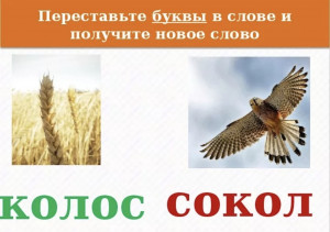 Божий сокол