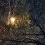 Черные тени. Таинственная тайность. Неспокойная квартира. Черные тени. Таинственная тайность. Неспокойная квартира.