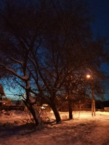 Черные тени. Таинственная тайность. Треклятый дом.