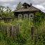 Слиться с природой