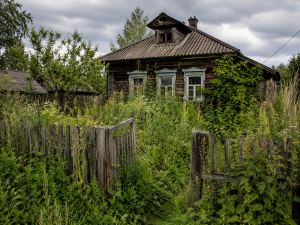 Слиться с природой