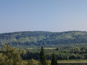 Синева Синева