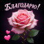 благодарность