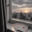 С козырей